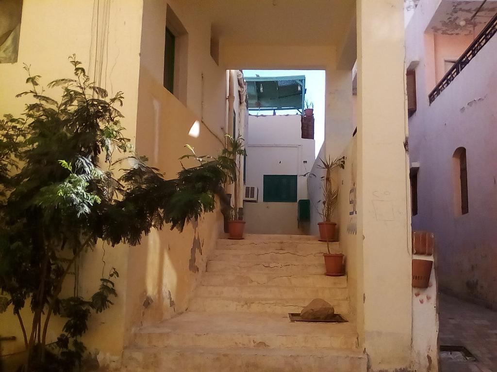 بيت شباب سي ويفز هوستل الغردقة المظهر الخارجي الصورة